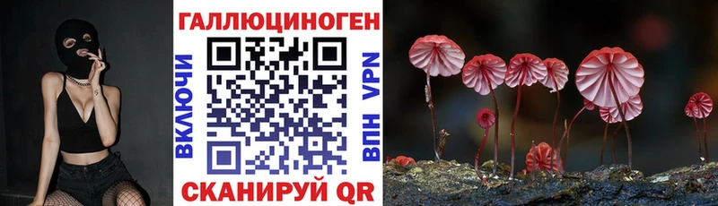 Галлюциногенные грибы Psilocybine cubensis  blacksprut ссылки  Александровск-Сахалинский 